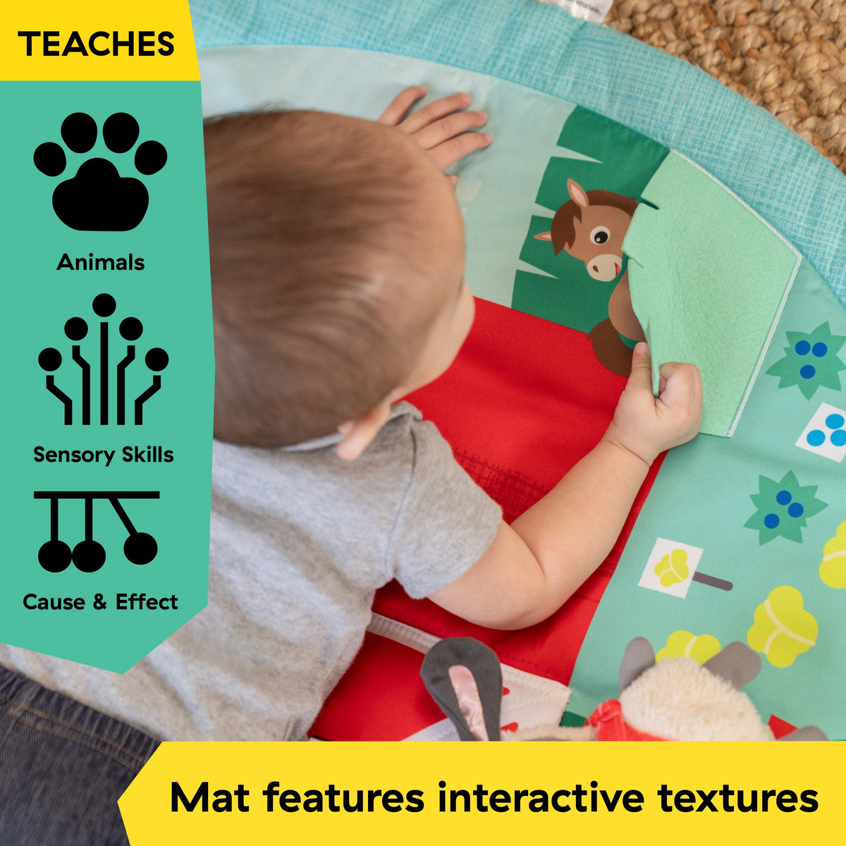 Baby Einstein Farm Explorers Happy Harvest Touch & Feel Activity Gym