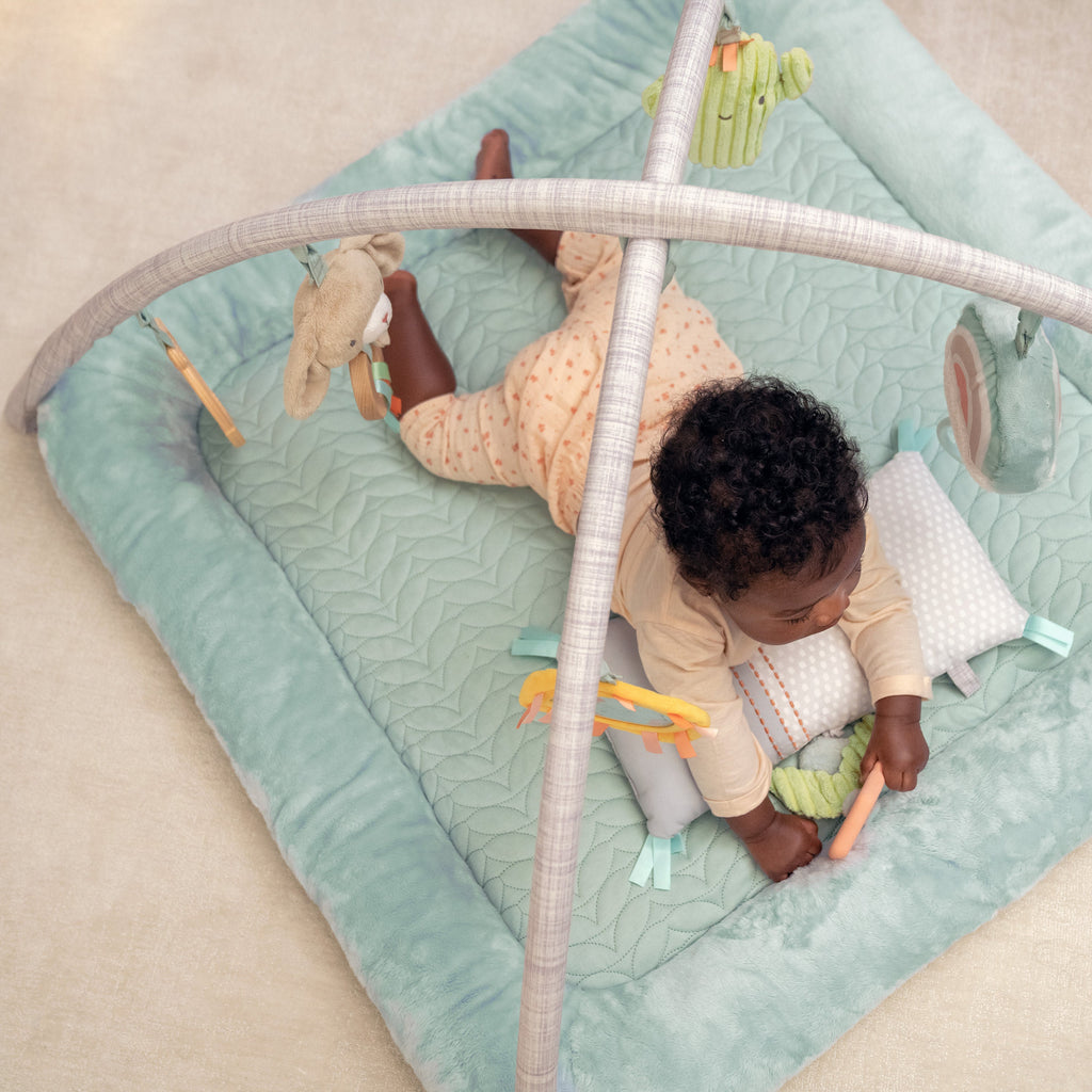 Ingenuity Calm Springs Plush Activity Baby Gym