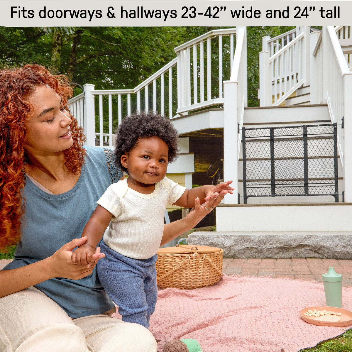 Doorway 42W Series Baby and Dog Gate 2-PK, Openings 23-42 Wide, 24 tall - Galvanized Steel