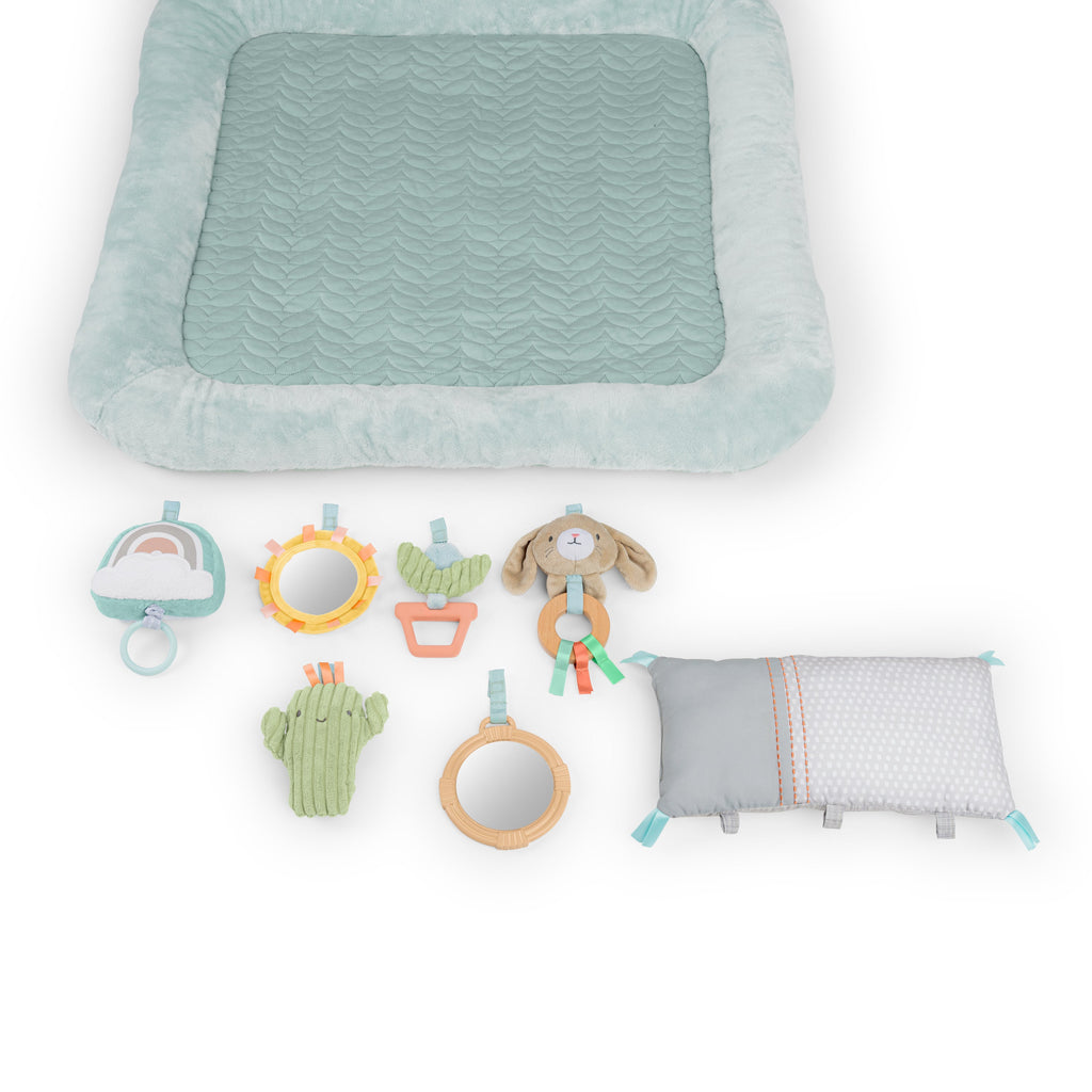 Ingenuity Calm Springs Plush Activity Baby Gym