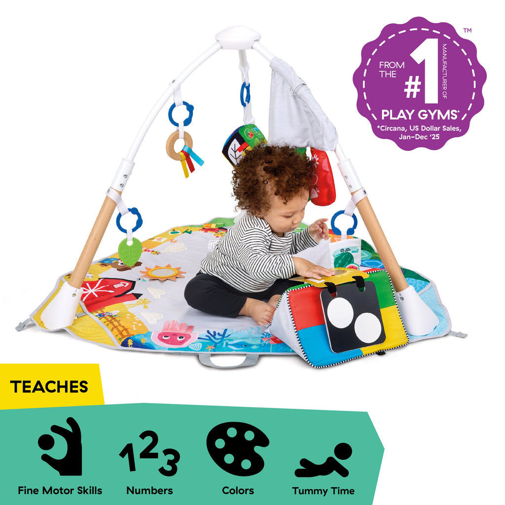 Baby Einstein Discover More 4-in-1 Developmental Play Gym & Activity Mat, Ages 0+ Months