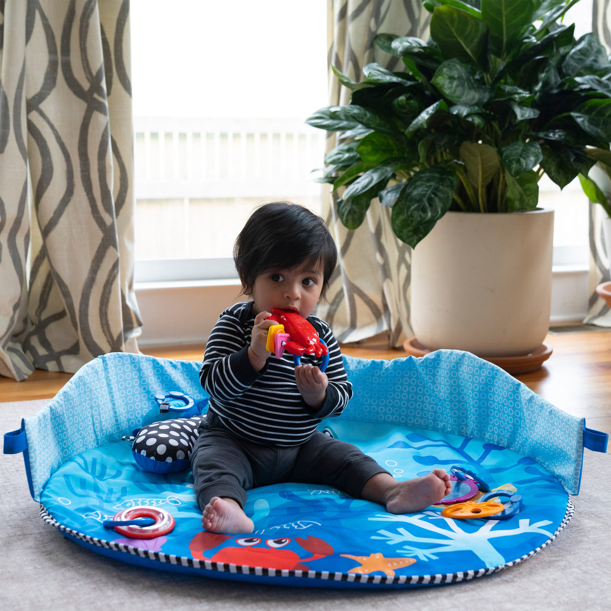 Baby Einstein Neptune Under the Sea Lights & Sounds Activity Gym and Play Mat