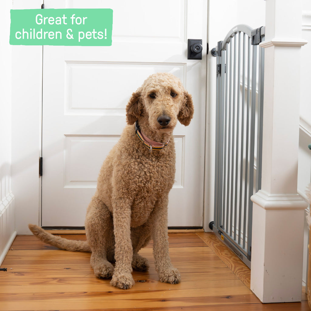 The Thruway 53W Series Pet and Baby Gate, Openings 29.5-53, 38 Tall - Gray