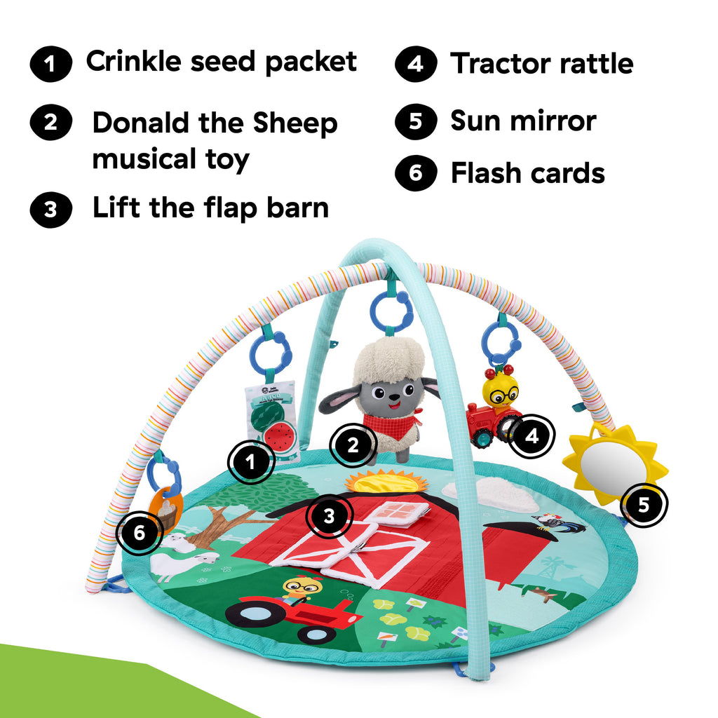 Baby Einstein Farm Explorers Happy Harvest Touch & Feel Activity Gym