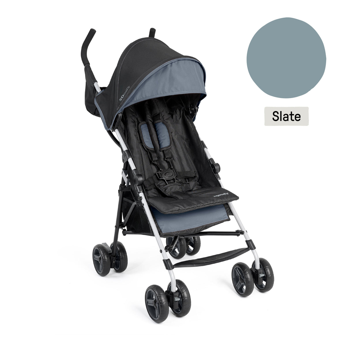 Ingenuity 3Dmini Convenience Stroller, Slate