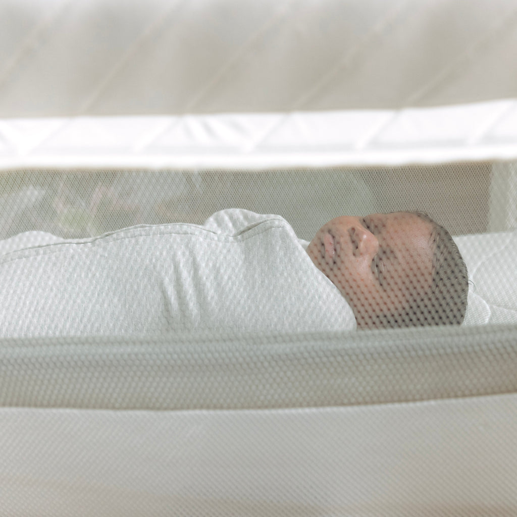 DreamSecure 2-in-1 Co-Sleeping Bassinet