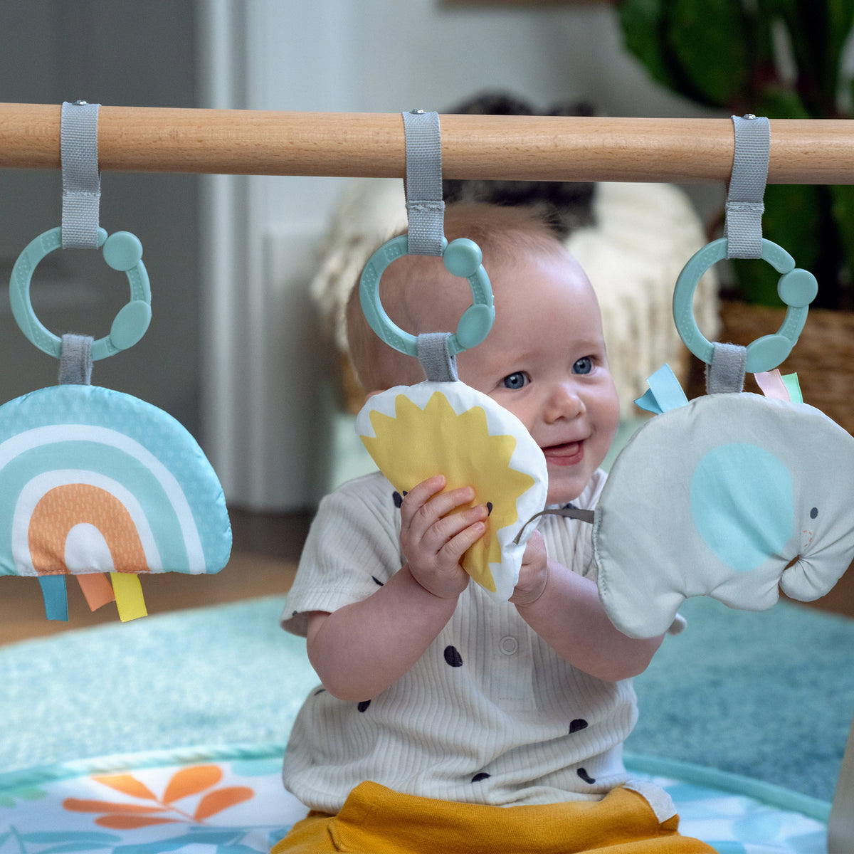 Ingenuity Sun Valley Wooden Toy Arch & Baby Play Mat, For Ages 0-36 Months