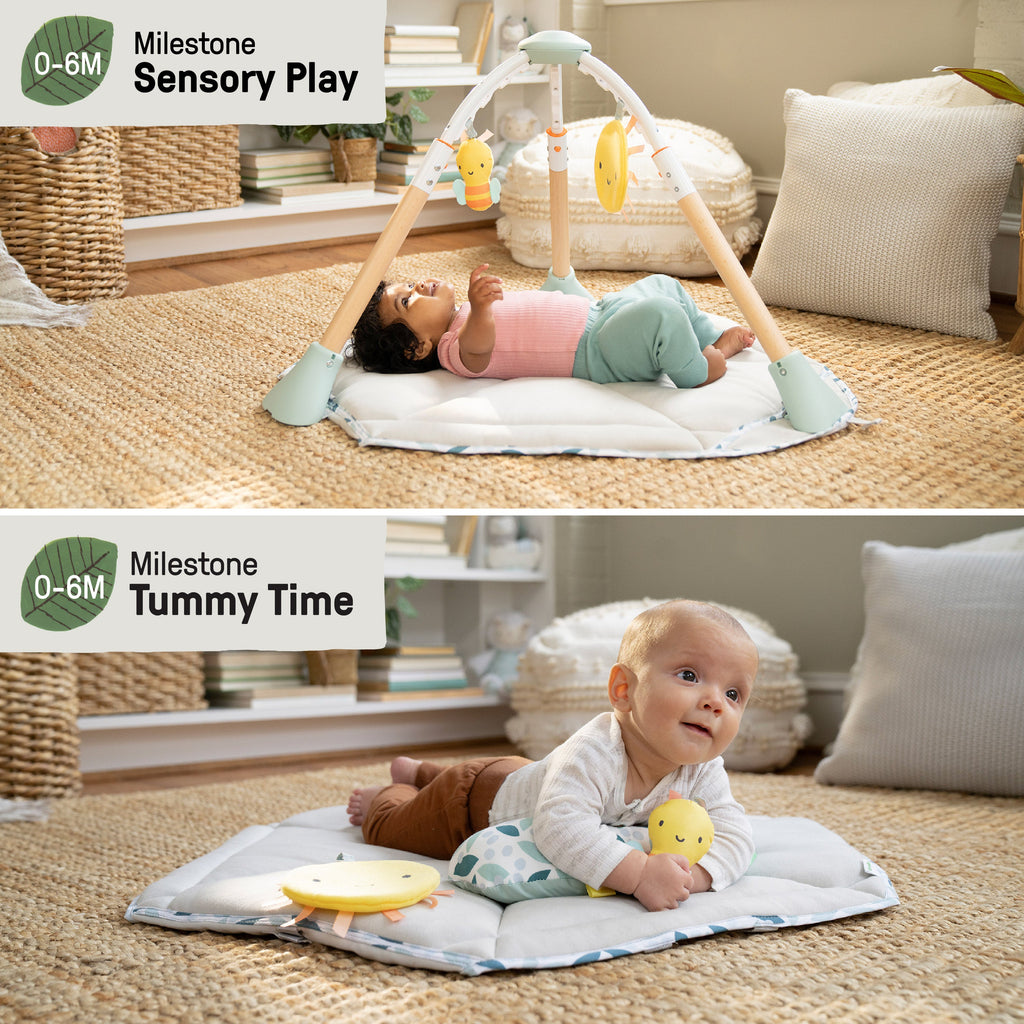 Ingenuity Tummy-to-Toes 6-in-1 Milestone Center, For Ages 0-48 Months