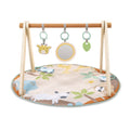 Ingenuity Wonder & Wood Wooden Toy Arch & Play Mat
