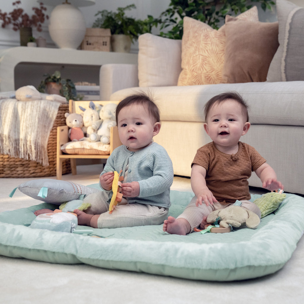 Ingenuity Calm Springs Plush Activity Baby Gym