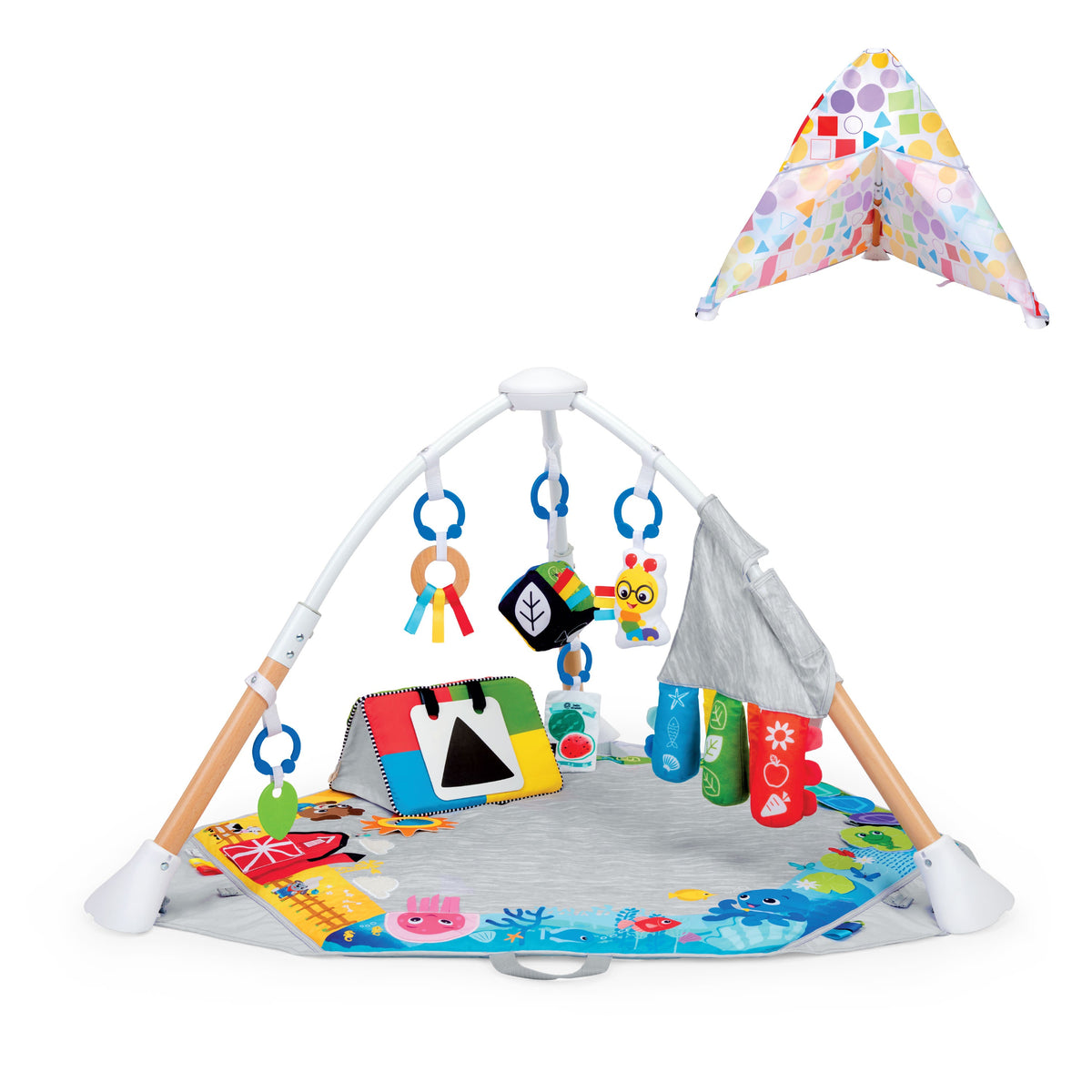 Baby Einstein Discover More 4-in-1 Developmental Play Gym & Activity Mat, Ages 0+ Months