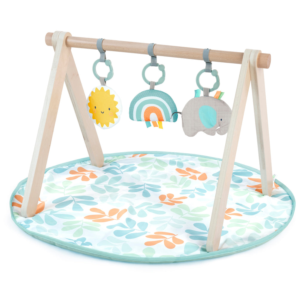 Ingenuity Sun Valley Wooden Toy Arch & Baby Play Mat, For Ages 0-36 Months