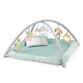 Ingenuity Calm Springs Plush Activity Baby Gym