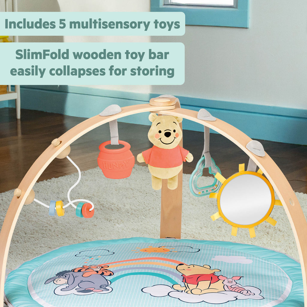 Bright Starts Disney Baby Winnie the Pooh Hunny Hangout Activity Gym