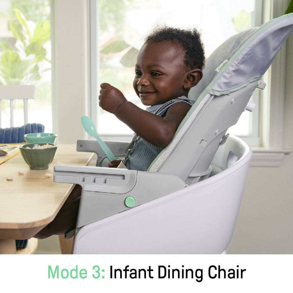 Ingenuity Beanstalk Baby to Big Kid 6-in-1 High Chair, Newborn to 5 Years, Ray