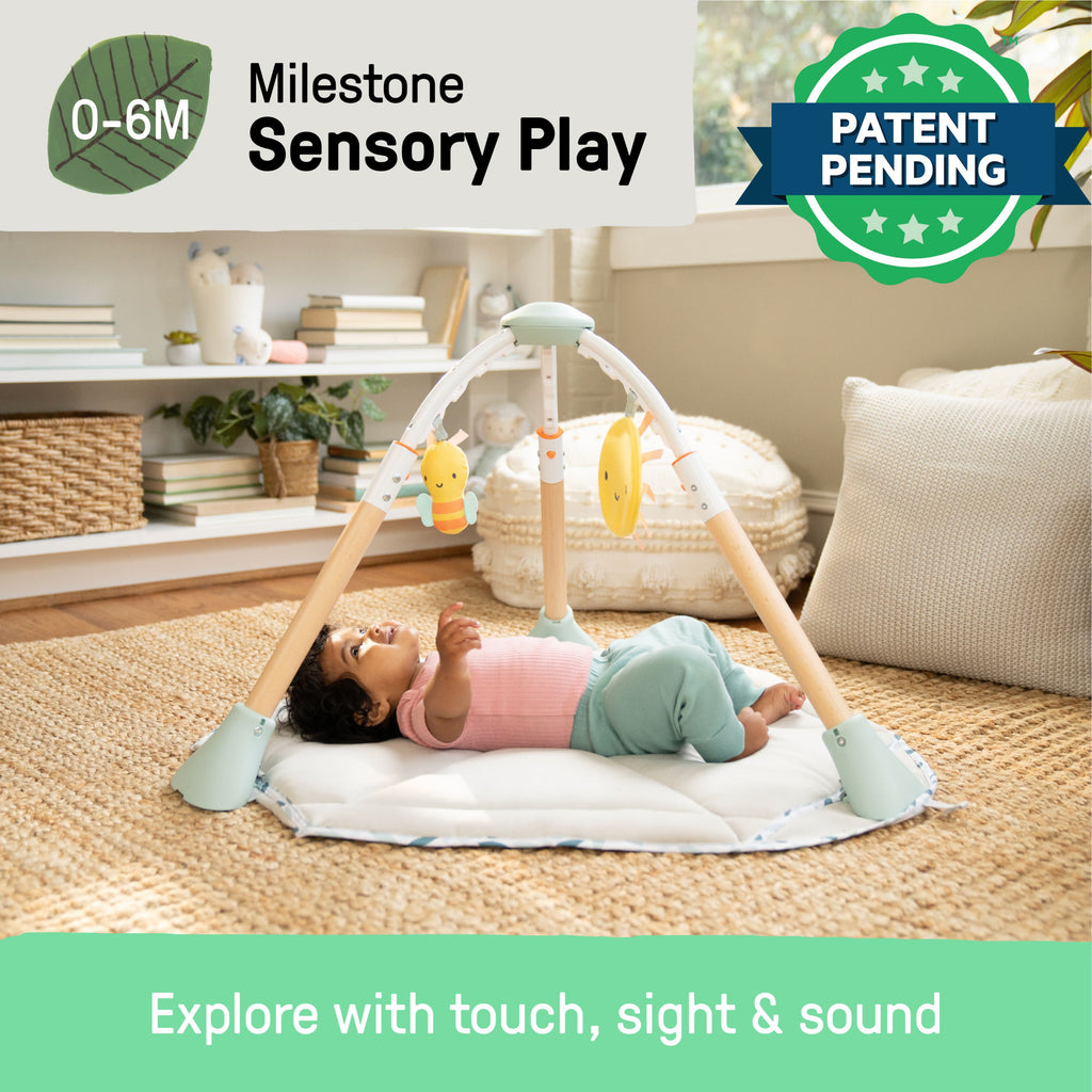 Ingenuity Tummy-to-Toes 6-in-1 Milestone Center, For Ages 0-48 Months