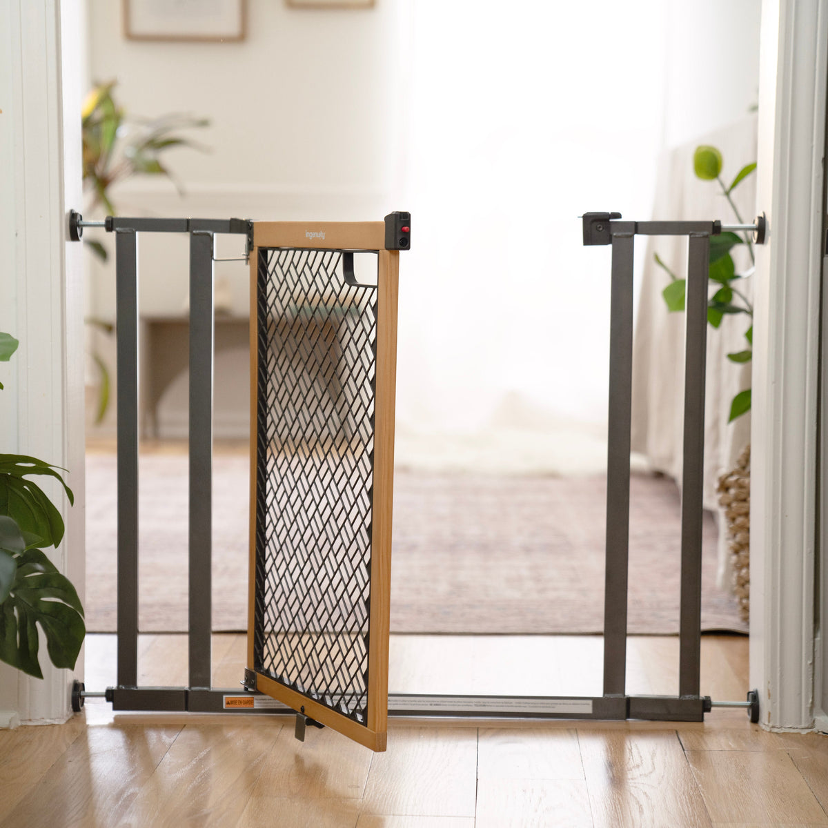 Ingenuity The Doorway 36S Series Pet and Baby Gate, Openings 28-36 Wide