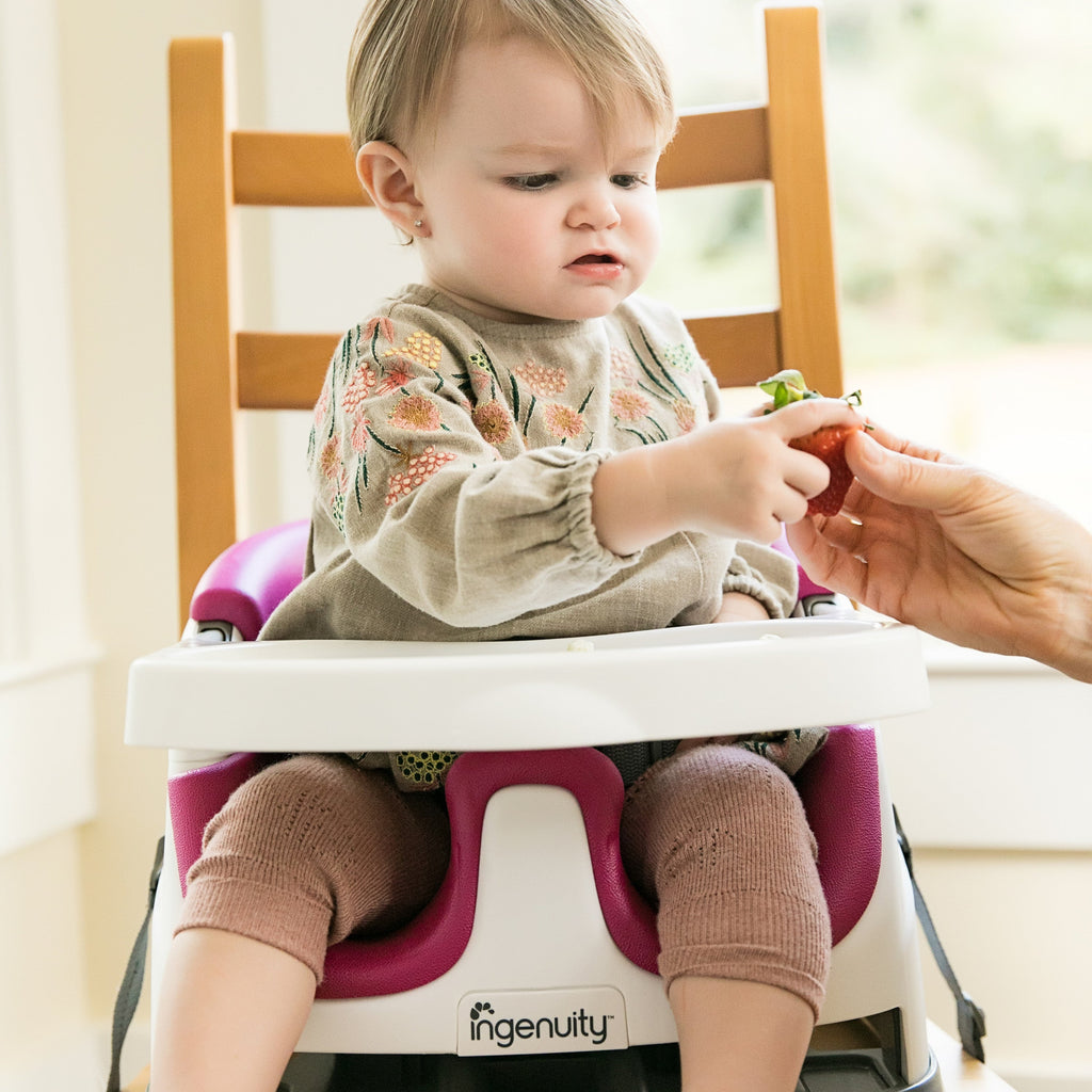 Ingenuity Baby Base 2-in-1 Booster Feeding and Floor Seat, Pink Flambe