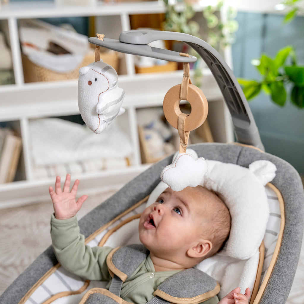 Ingenuity Boutique Collection Rocking Seat with Premium Plush Fabrics, Bella Teddy